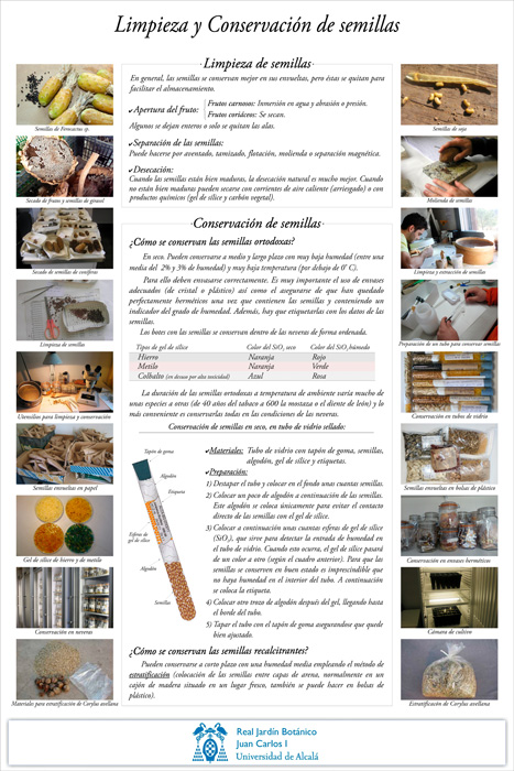4 LIMPIEZA Y CONSERVACION DE SEMIILLAS