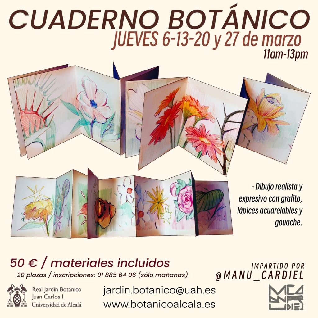 Taller cuaderno botánico