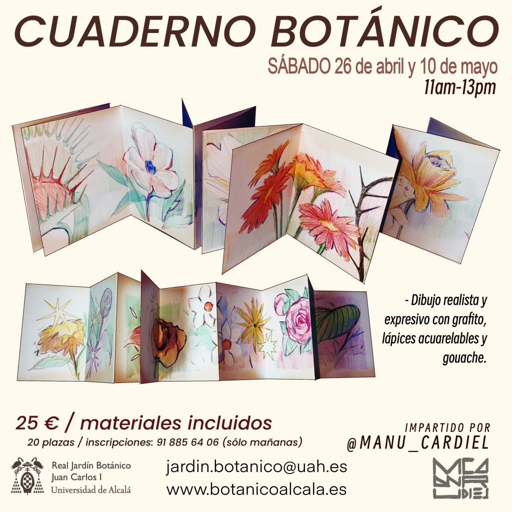 Taller cuaderno botánico