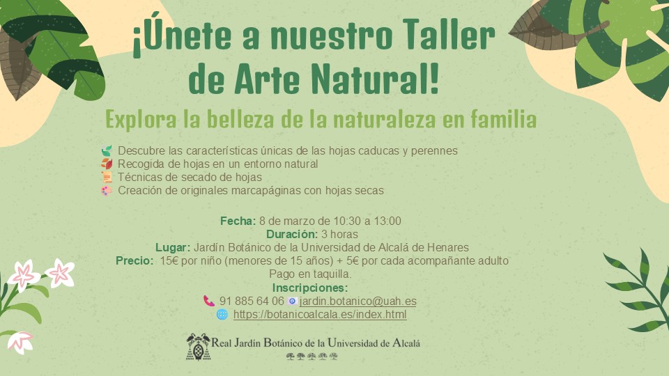 Taller de arte natural