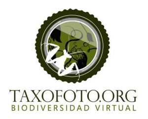 Logo Proyecto Taxofoto
