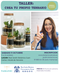 Taller de terrarios vegetales