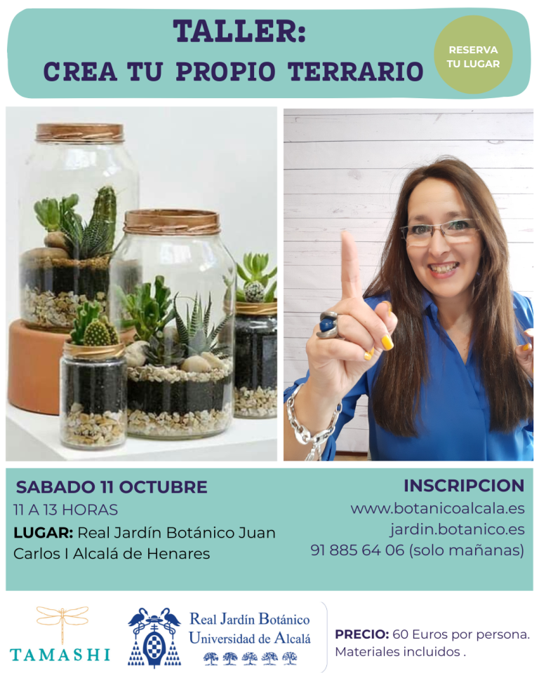 Taller de terrarios vegetales