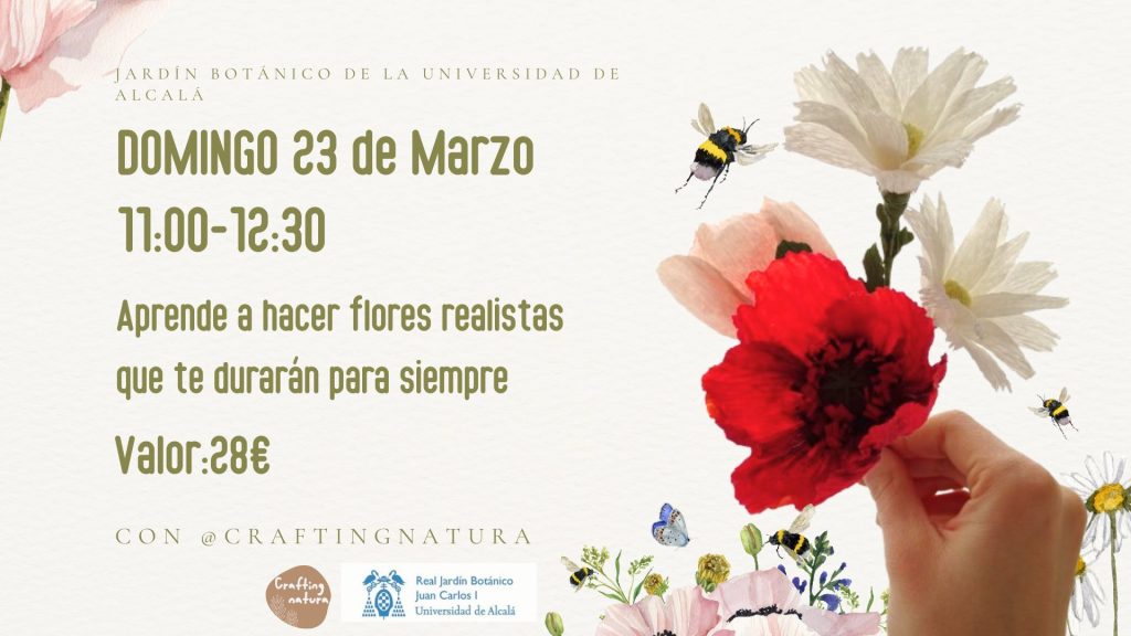 Taller Flores de papel web