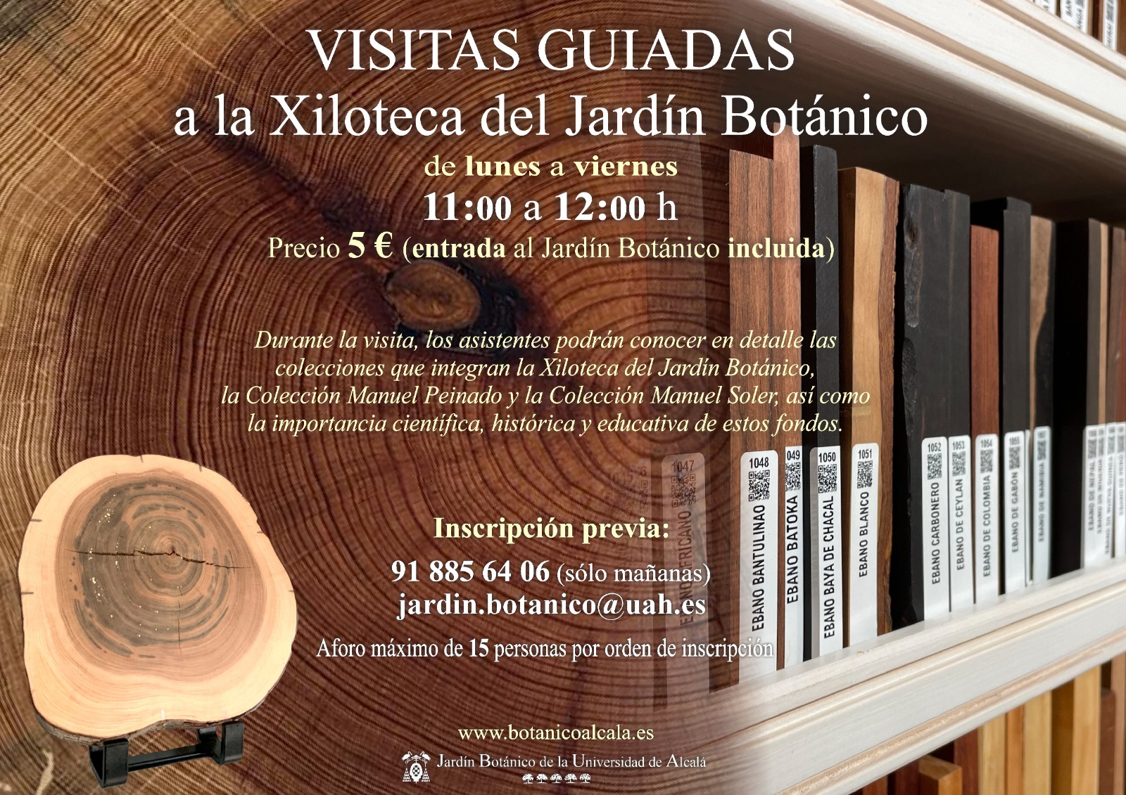 Visitas guiadas a la Xiloteca