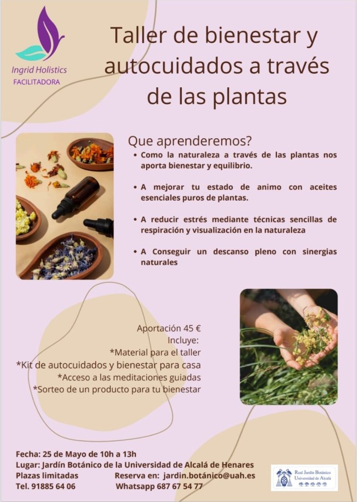 TALLER DE BIENESTAR Y AUTOCUIDADOS A TRAVÉS DE LAS PLANTAS