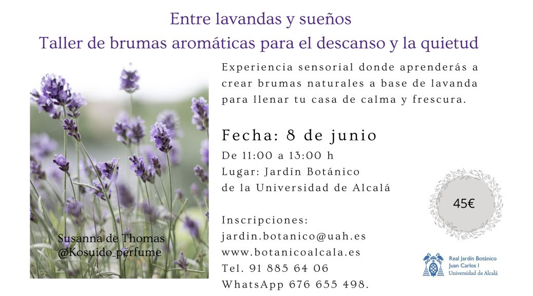 Entre lavandas y sueños
