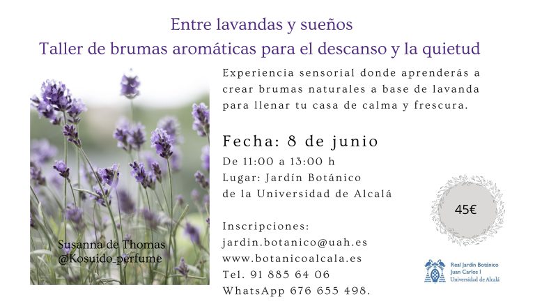 Entre lavandas y sueños