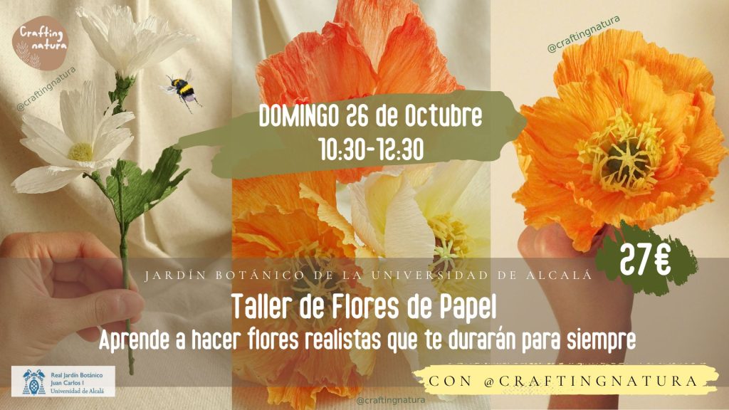 Taller de flores de papel