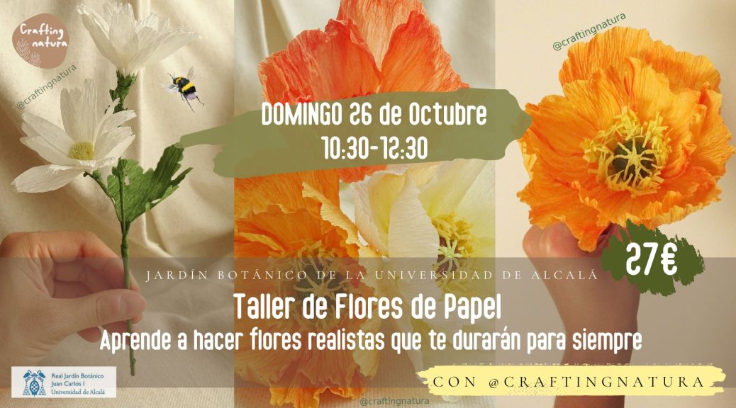 Taller de flores de papel