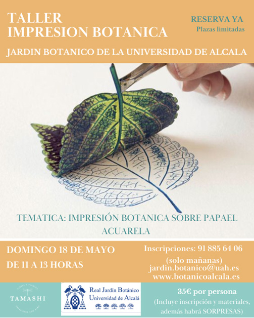 Taller impresión botánica