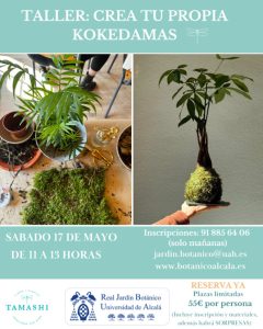 Taller de kokedamas