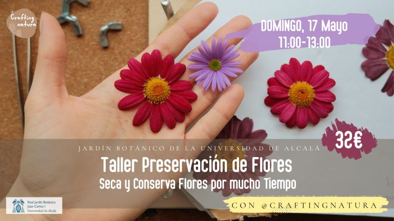 Taller de preservación de flores