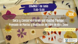 Taller de preservación de flores