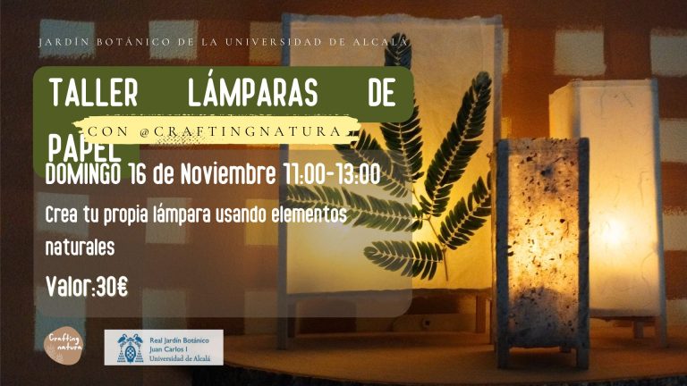 Taller lámparas de papel