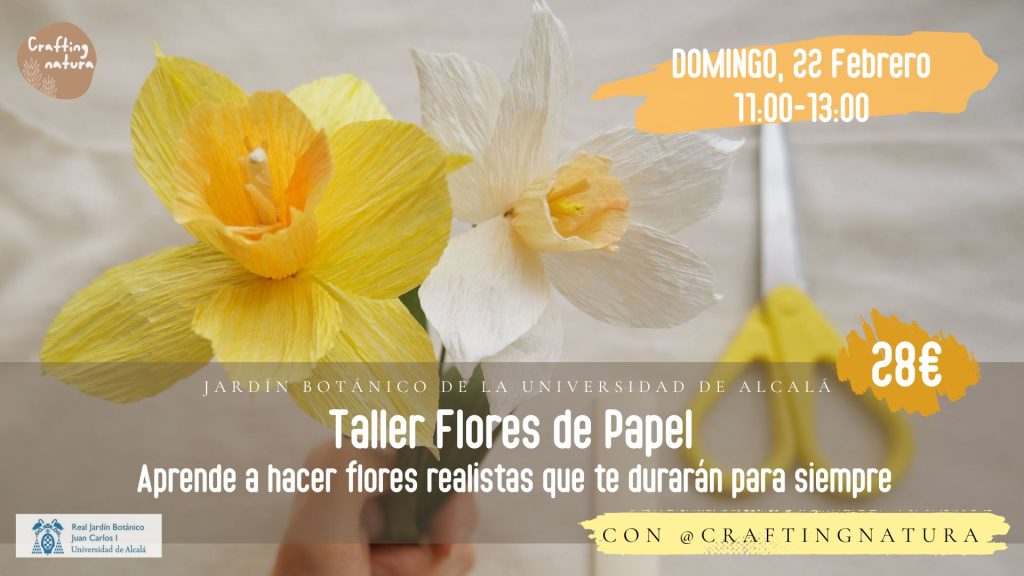 Taller de flores de papel