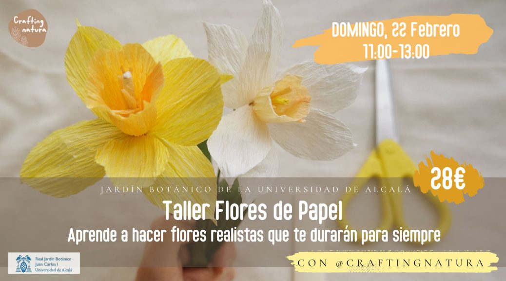 Taller de flores de papel