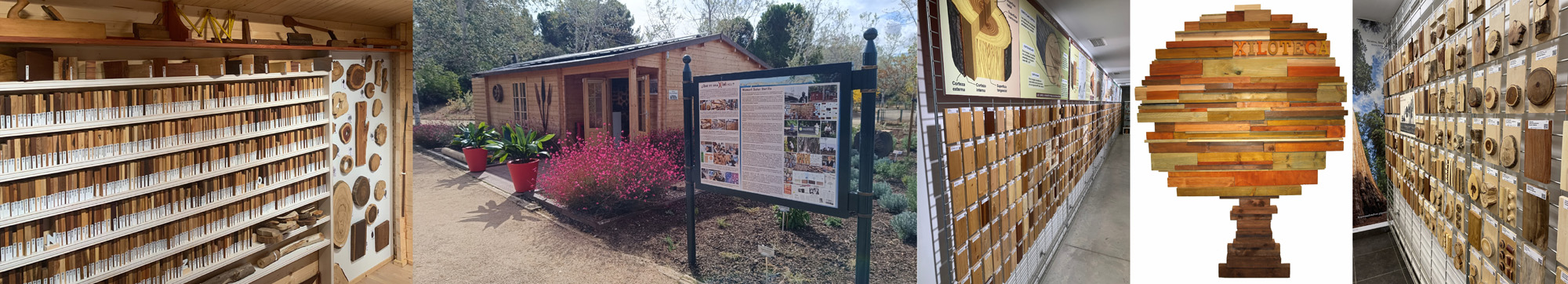 Xiloteca del Jardín Botánico de Alcalá