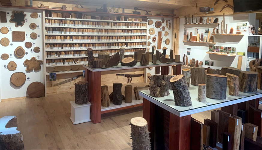 Vista interior de la cabaña donde está ubicada la colección Manuel Soler