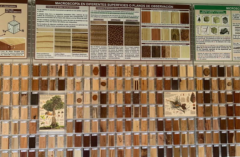 Muestras de tablillas etiquetadas y con código Qr rodeadas de paneles informativos para uso didáctico en la colección Manuel Peinado