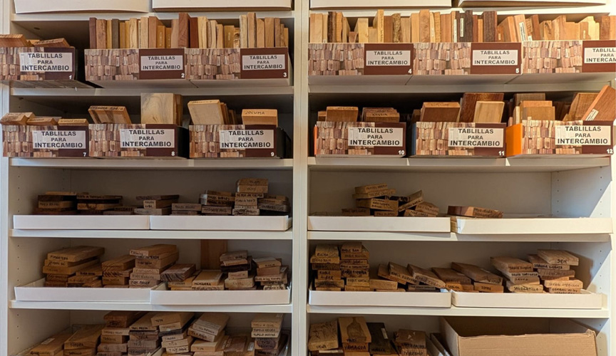 Colección de ébanos