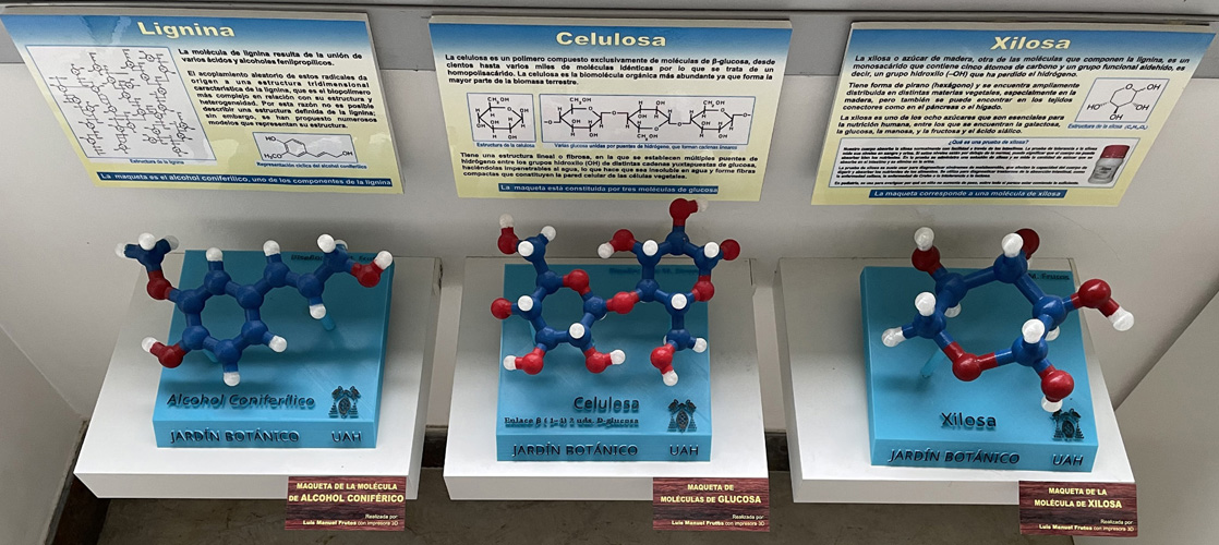Maquetas de moléculas que componen la madera