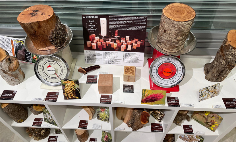 Explicación didáctica de la densidad en kg/m3 en distintos tipos de maderas y su clasificación