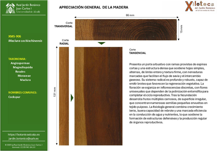 Ficha APRECIACIÓN GENERAL DE LA MADERA