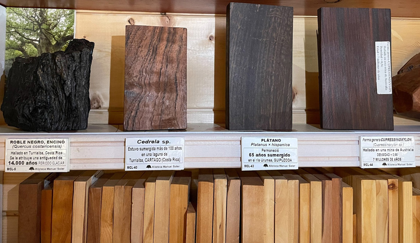 Muestras de maderas recolectadas en localizaciones especiales