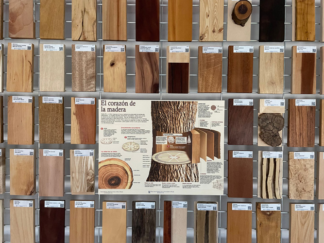 Panel explicativo intercalado entre tablillas etiquetadas